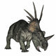 Styracosaurus Dinosaur Wall Decal Design 1