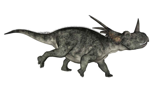 Styracosaurus Dinosaur Running Wall Decal