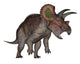 Triceratops Dinosaur Standing up Wall Decal
