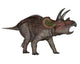 Triceratops Dinosaur Wall Decal