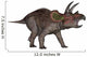 Triceratops Dinosaur Wall Decal