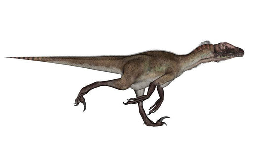 Utahraptor Dinosaur Running Wall Decal