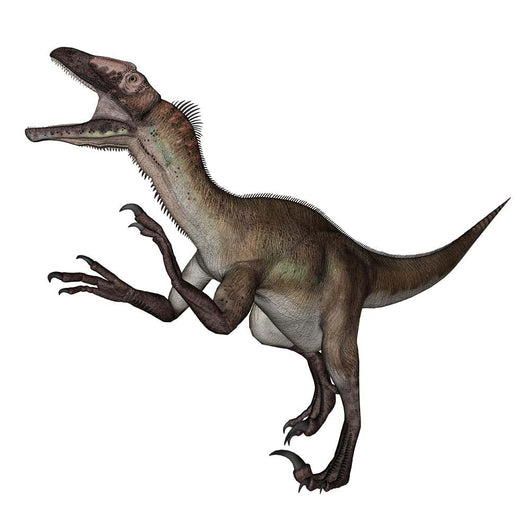 Utahraptor Dinosaur Roaring Wall Decal Design 1