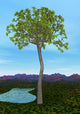 Prehistoric Era Glossopteris Tree Wall Decal