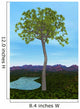 Prehistoric Era Glossopteris Tree Wall Decal