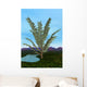 Prehistoric Era Pachypteris Tree Wall Decal
