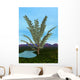 Prehistoric Era Pachypteris Tree Wall Decal