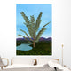 Prehistoric Era Pachypteris Tree Wall Decal