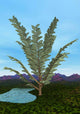 Prehistoric Era Pachypteris Tree Wall Decal