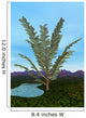 Prehistoric Era Pachypteris Tree Wall Decal