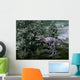 Aucasaurus Dinosaur amongst Wollemia Wall Decal