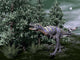 Aucasaurus Dinosaur amongst Wollemia Wall Decal