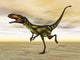 Dilong Dinosaur Desert Wall Decal