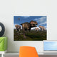 Tyrannosaurus Rex Attacked Three Wall Decal