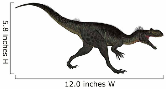 Megalosaurus Dinosaur Roaring White Wall Decal Design 2