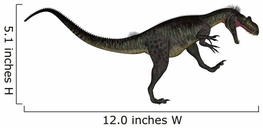Megalosaurus Dinosaur Roaring White Wall Decal Design 1