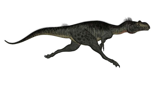 Megalosaurus Dinosaur Running White Wall Decal