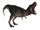 Tarbosaurus Dinosaur Roaring White Wall Decal Design 3