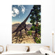 Brachiosaurus Dinosaur Grazing Wollemia Wall Decal