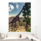 Brachiosaurus Dinosaur Grazing Wollemia Wall Decal
