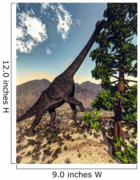 Brachiosaurus Dinosaur Grazing Wollemia Wall Decal