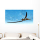 Pteranodon Bird Flying Blue Wall Decal