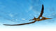 Pteranodon Bird Flying Blue Wall Decal