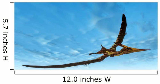 Pteranodon Bird Flying Blue Wall Decal