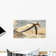 Pteranodon Bird Flying above Wall Decal