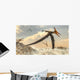 Pteranodon Bird Flying above Wall Decal