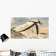 Pteranodon Bird Flying above Wall Decal