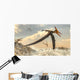 Pteranodon Bird Flying above Wall Decal