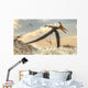 Pteranodon Bird Flying above Wall Decal