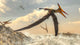 Pteranodon Bird Flying above Wall Decal