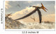 Pteranodon Bird Flying above Wall Decal