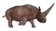 Elasmotherium Wall Decal
