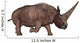 Elasmotherium Wall Decal