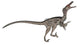 Velociraptor Dinosaur Roaring White Wall Decal Design 1