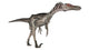 Velociraptor Dinosaur White Wall Decal
