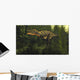 Aucasaurus Dinosaur Walking amongst Wall Decal