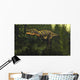 Aucasaurus Dinosaur Walking amongst Wall Decal