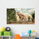 Triceratops Grazing Magnolia Tree Wall Decal