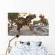 Tyrannosaurus Rex Tries to Wall Decal