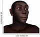 Male Homo Erectus Portrait Wall Decal