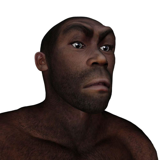 Male Homo Erectus Angry Wall Decal