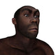 Male Homo Erectus Angry Wall Decal