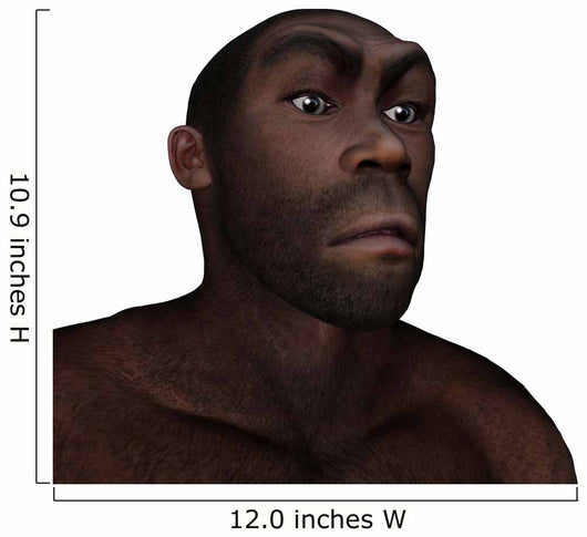 Male Homo Erectus Angry Wall Decal
