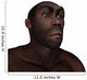 Male Homo Erectus Angry Wall Decal