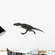 Aucasaurus Dinosaur White Wall Decal Design 2