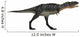Aucasaurus Dinosaur White Wall Decal Design 1